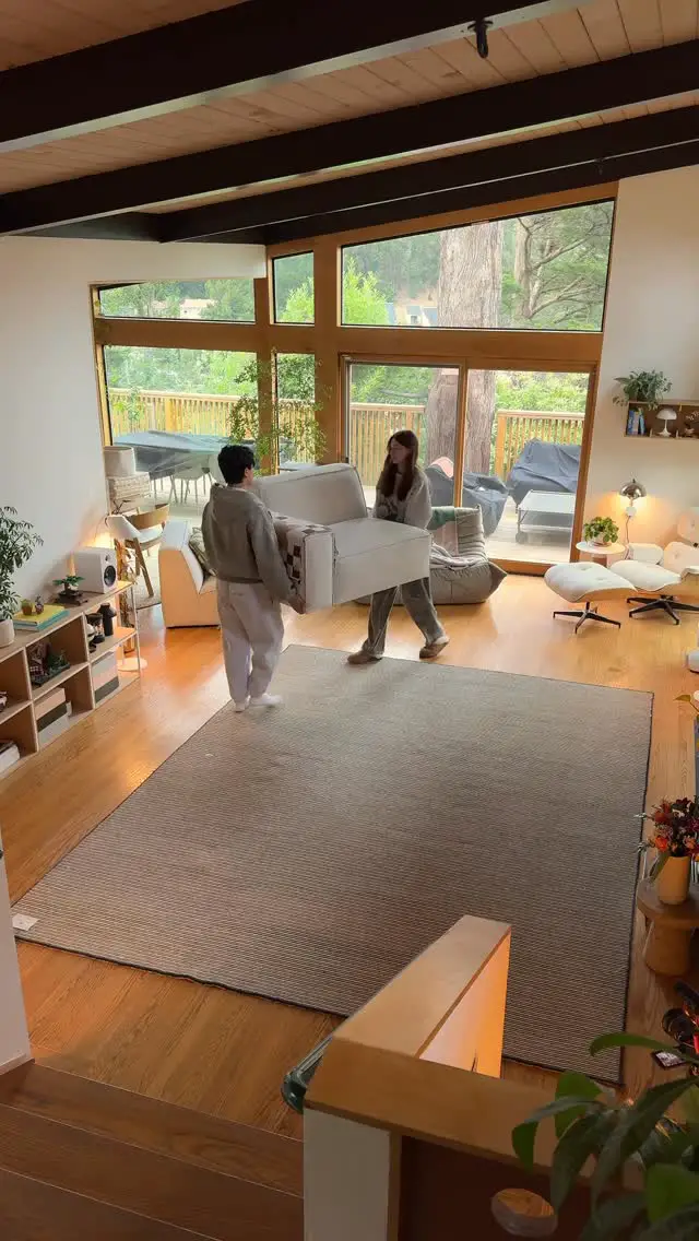 persian rug living room