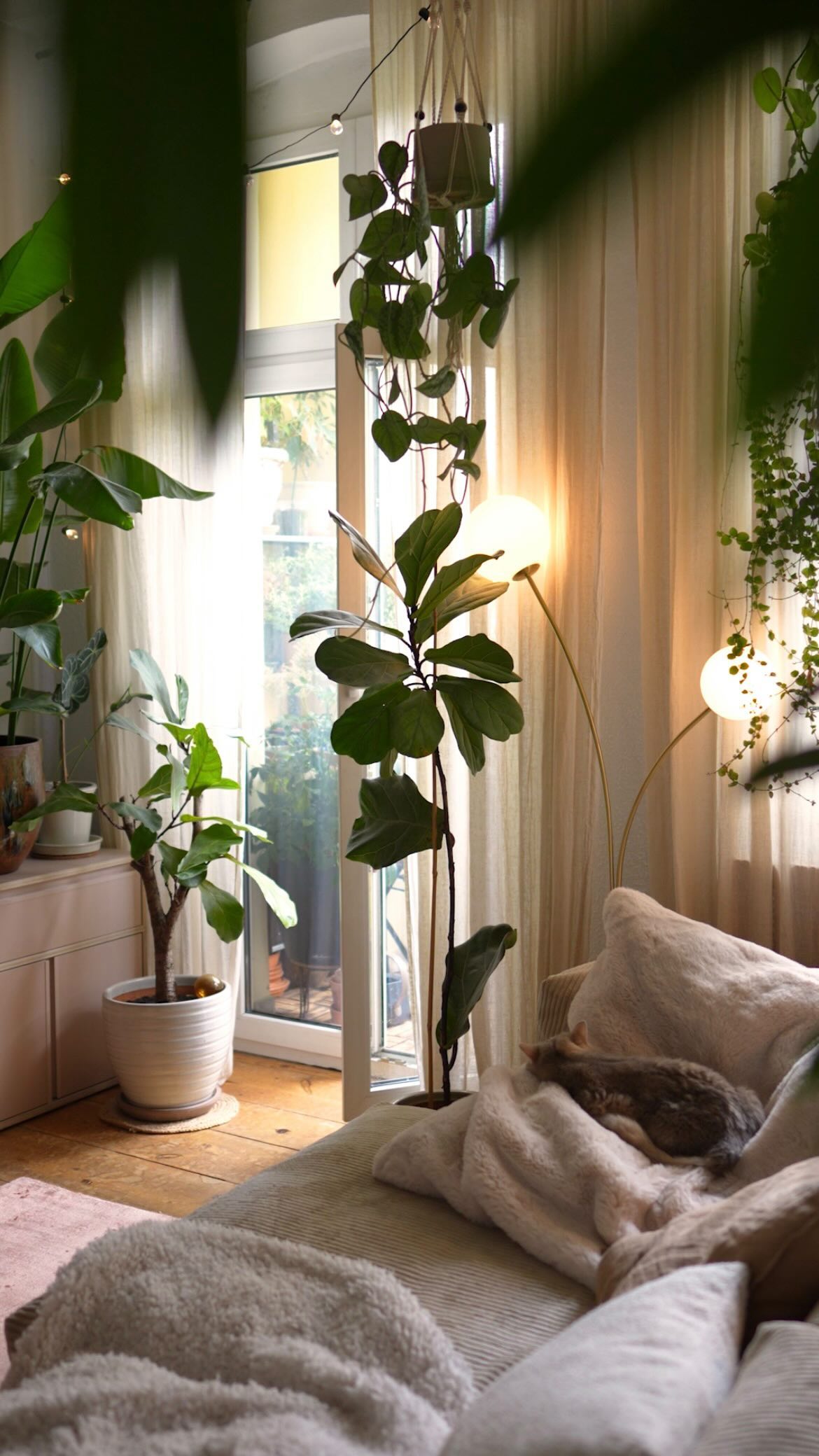 29 Gorgeous Fiddle Leaf Fig Living Room Ideas To Copy Now 1 fiddle leaf fig living room