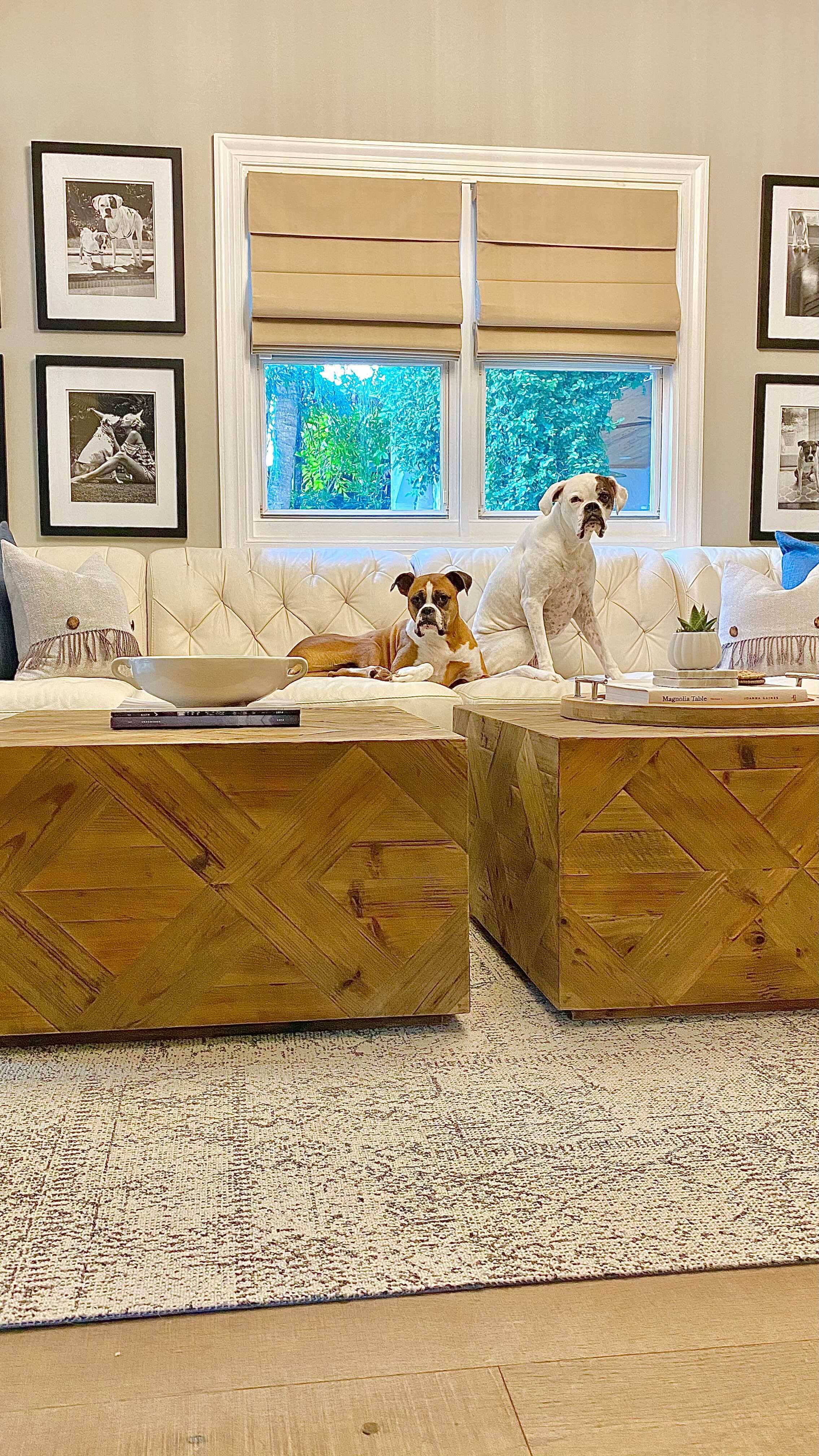 living room chandelier