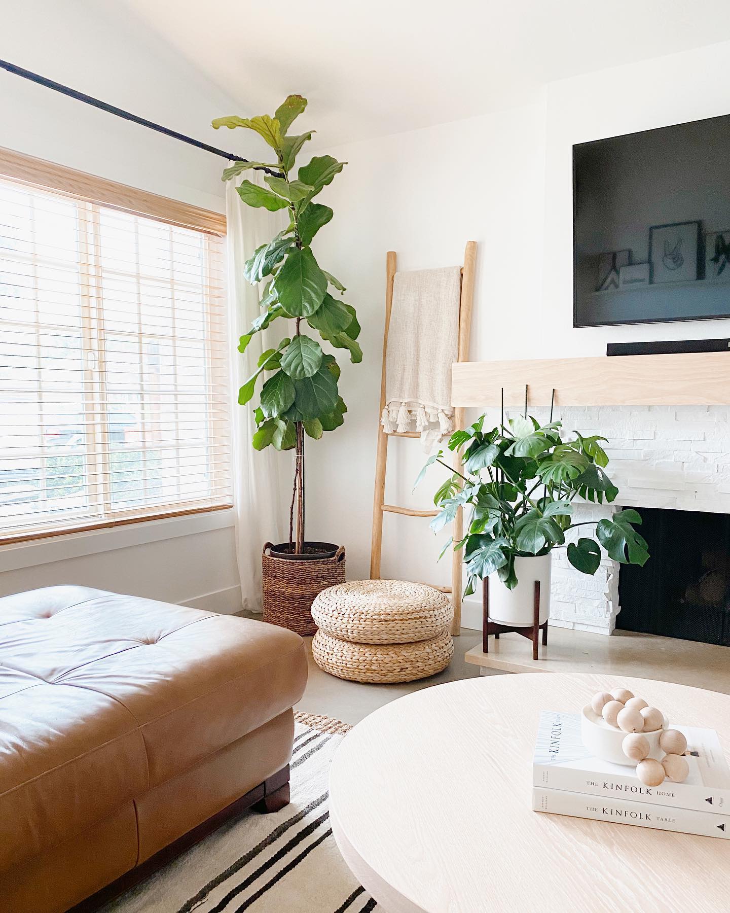 29 Gorgeous Fiddle Leaf Fig Living Room Ideas To Copy Now 4 fiddle leaf fig living room