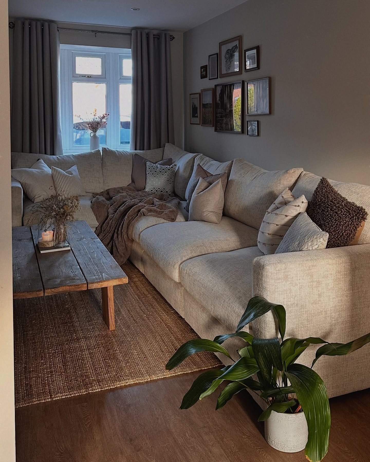 vintage rug living room