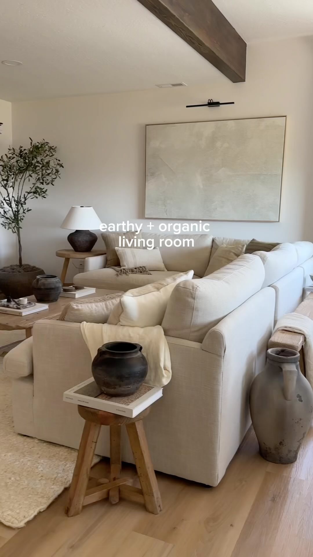 29 Organic Modern Living Room Ideas To Copy Now (With Stunning Cozy-Chic Images) 11 organic modern living room