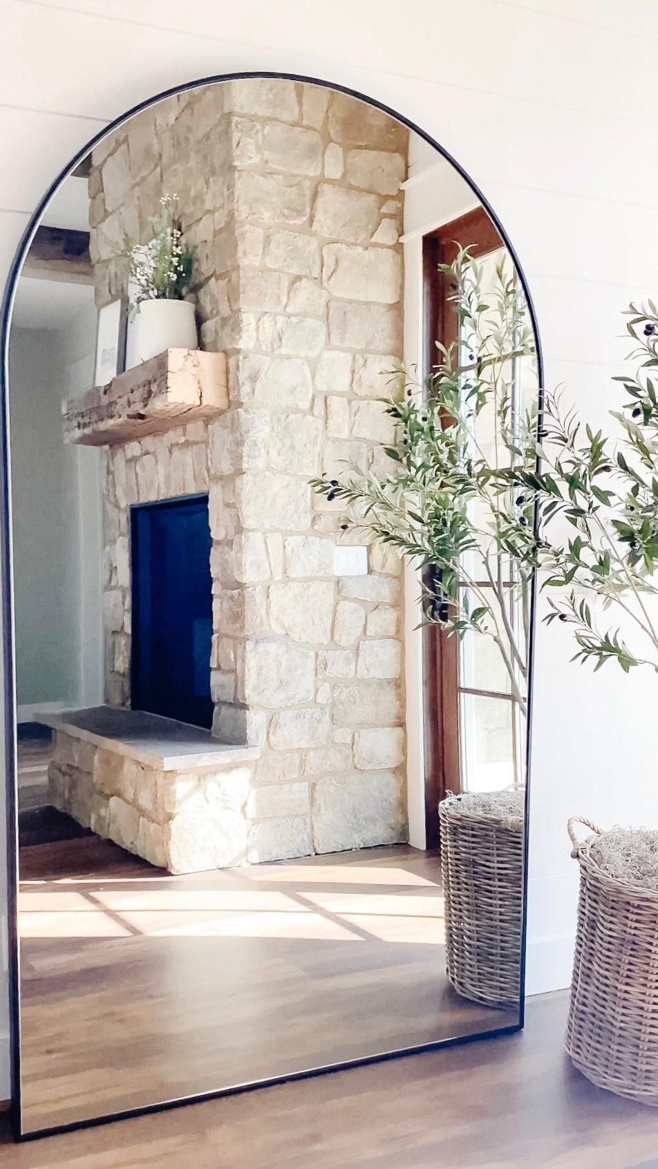 olive tree living room