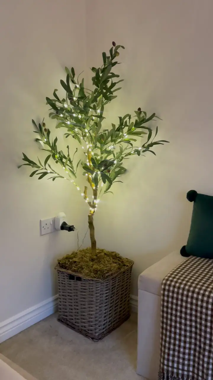 olive tree living room
