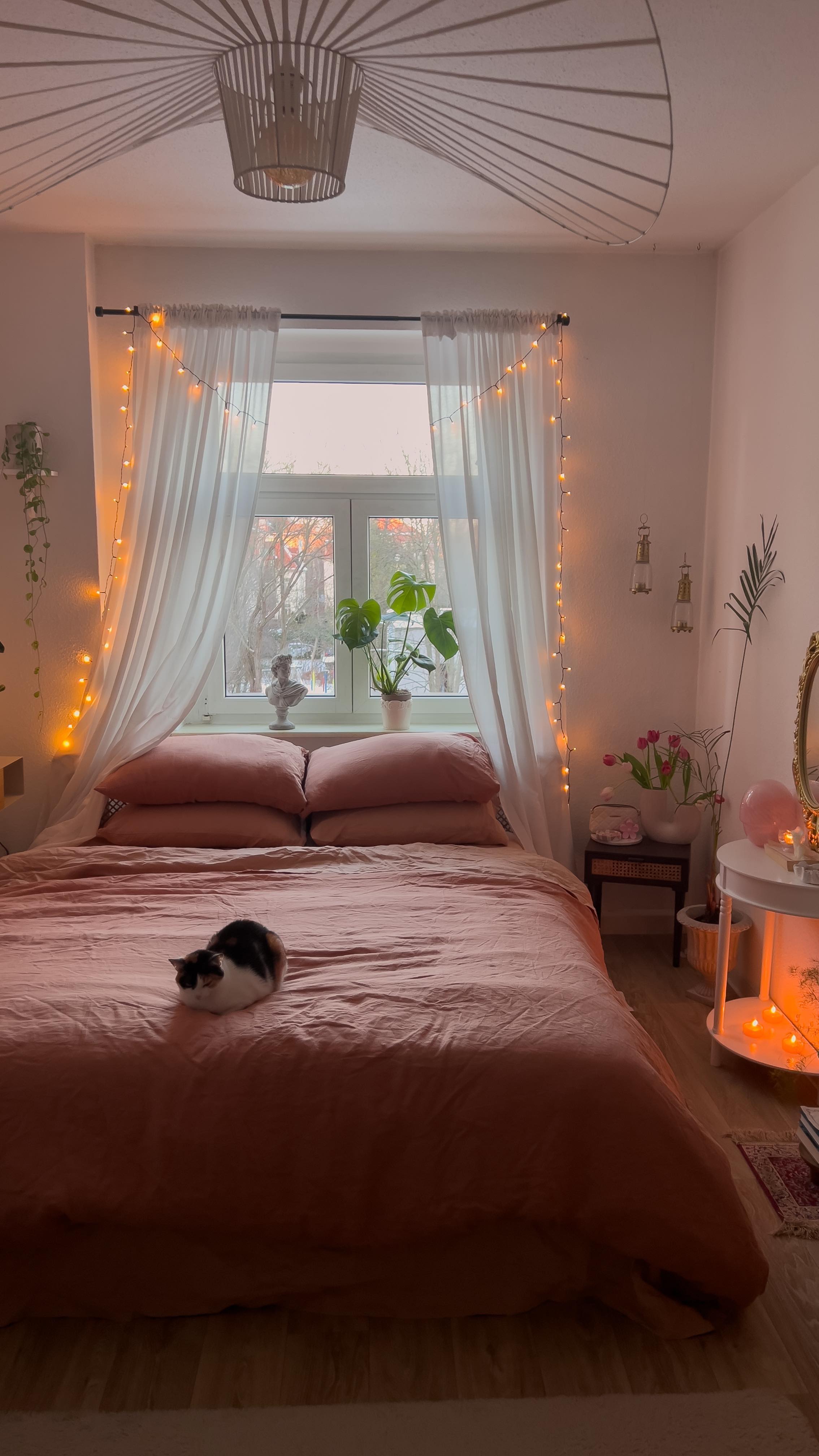 terracotta living room