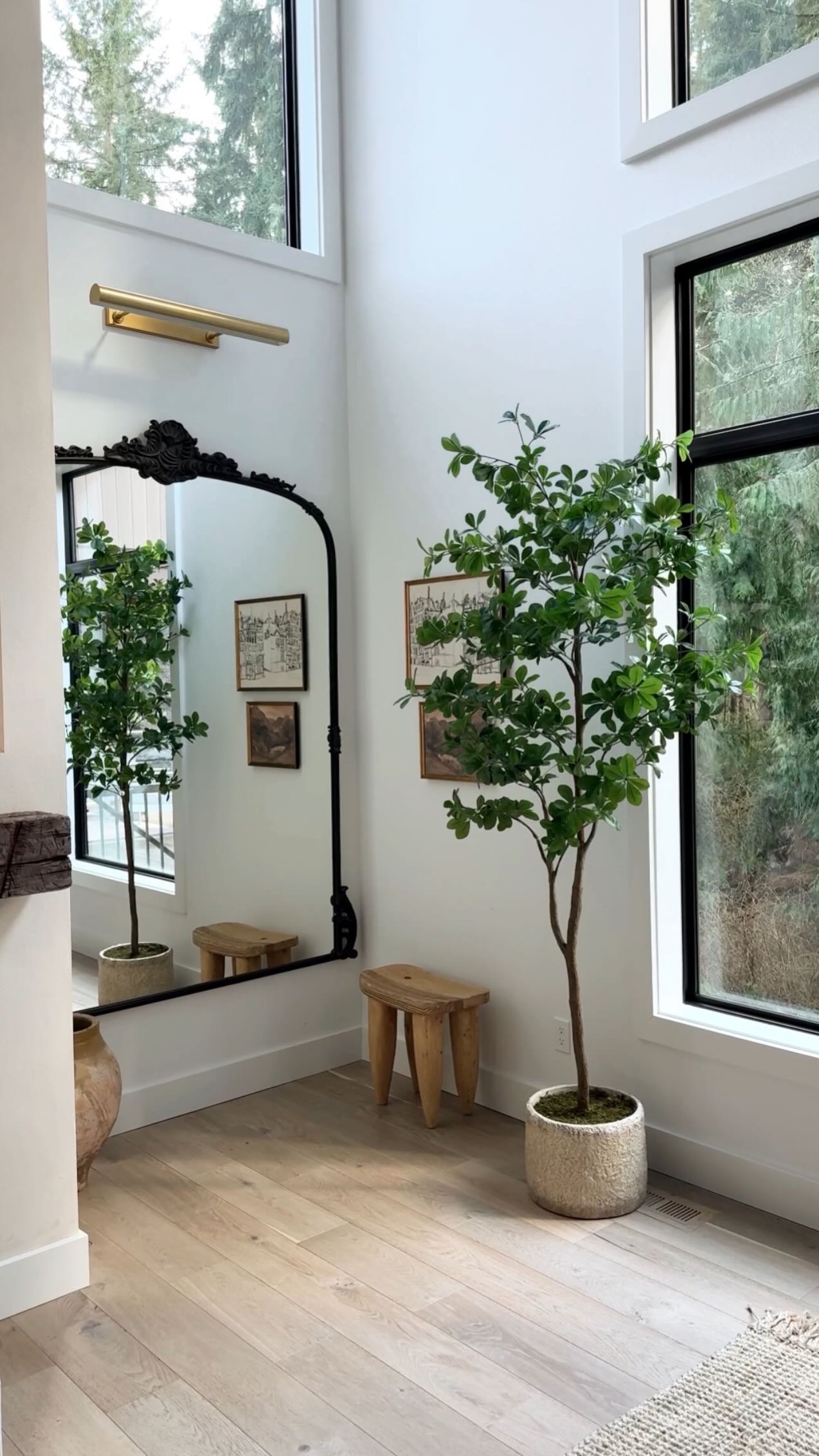 olive tree living room