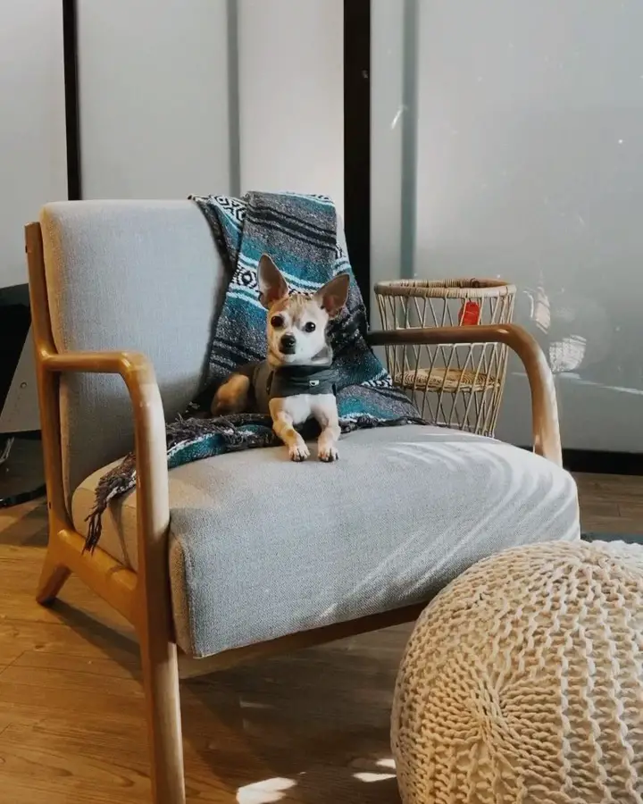 rattan chair living room