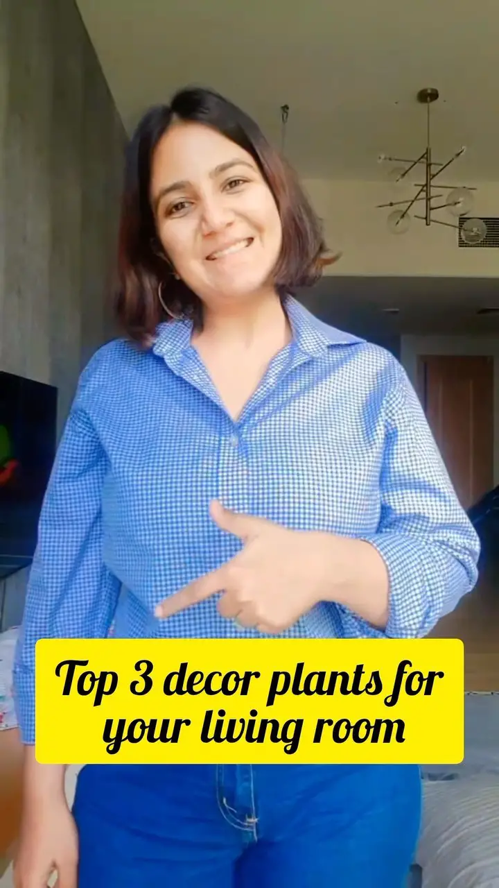 29 Gorgeous Fiddle Leaf Fig Living Room Ideas To Copy Now 21 fiddle leaf fig living room