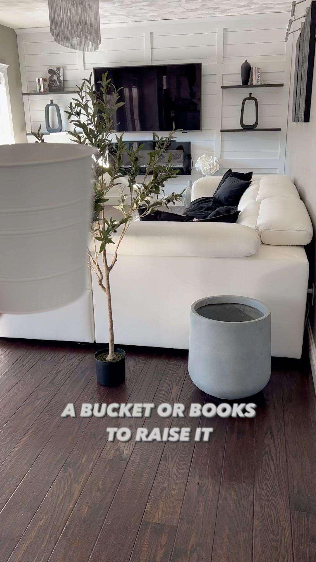 olive tree living room