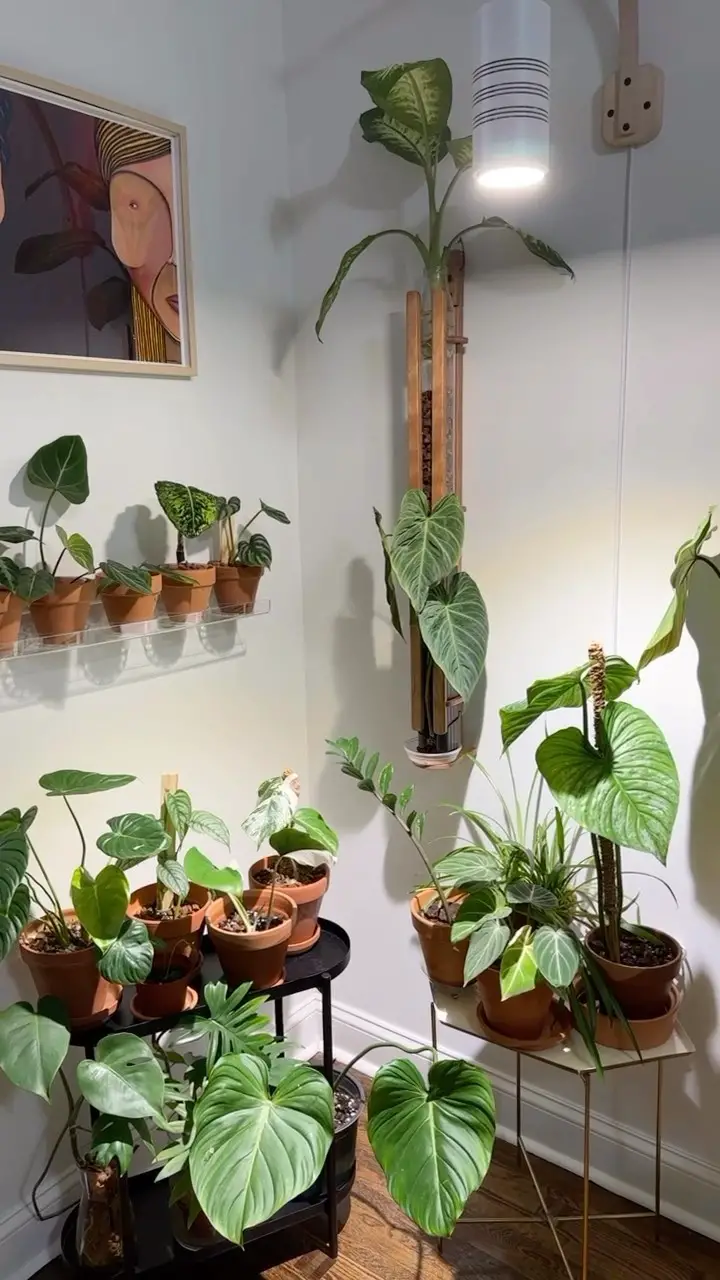 terracotta living room