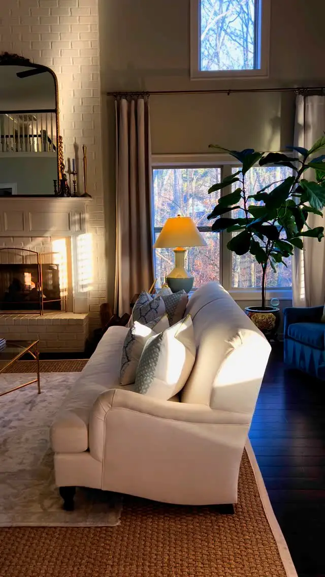 29 Gorgeous Fiddle Leaf Fig Living Room Ideas To Copy Now 15 fiddle leaf fig living room